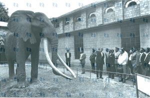 Ahmed the elephant, Botswana President Dr. Quett Masire, Lady Masire Dr. Richard Leakey