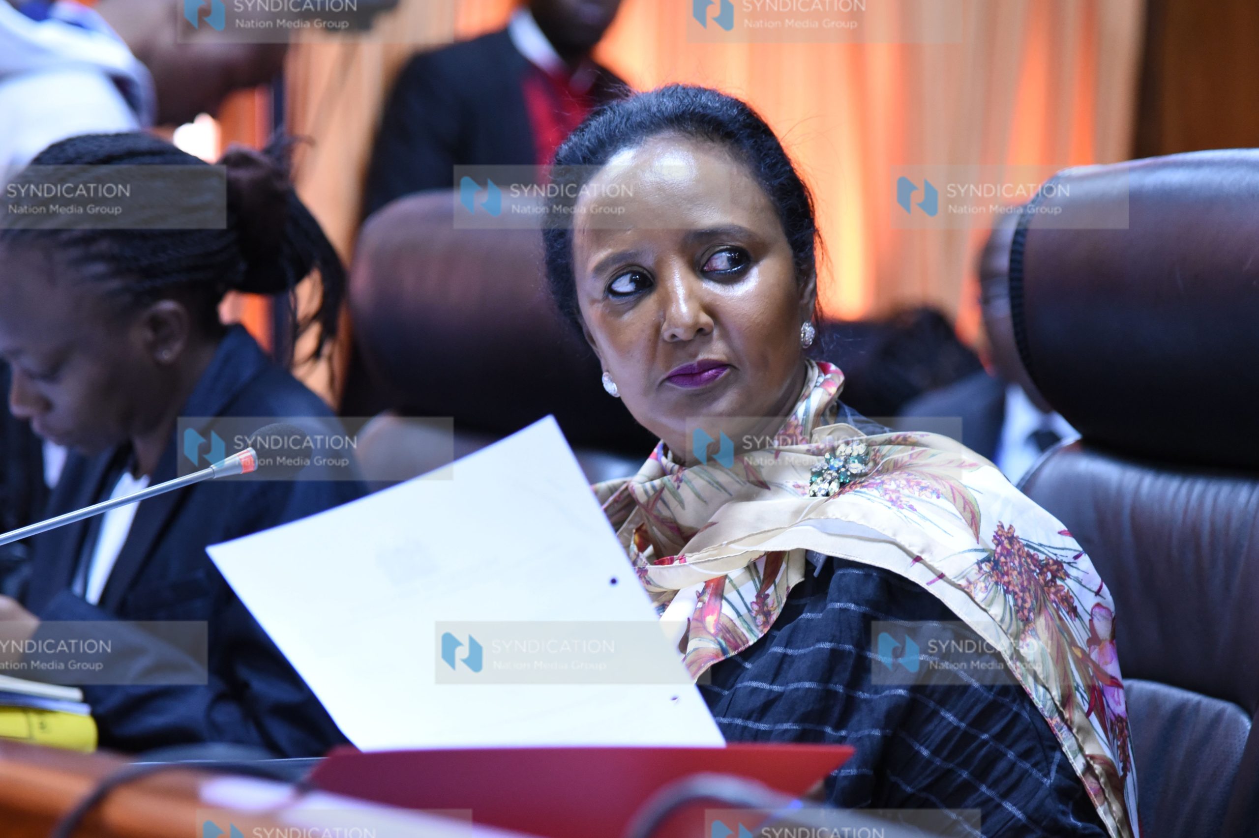 Senate Public Accounts and Investment Committee (PAIC)