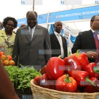Opening ceremony of the 1st African Science, Technology and Innovation Forum for Youth Employment