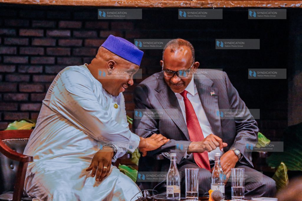 Opening session of the African Union member state consultation