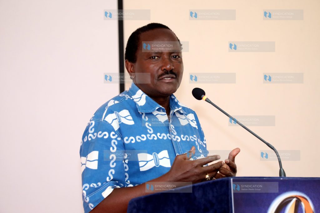 Kalonzo Musyoka make his address at Maanzoni lodge