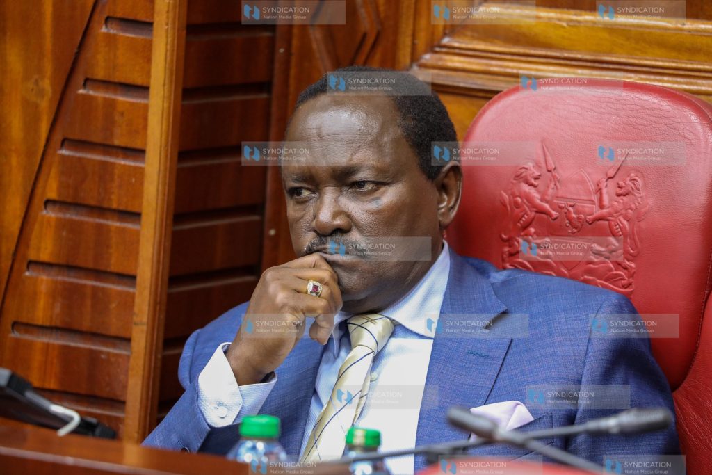 Wiper leader Kalonzo Musyoka at the County Hall