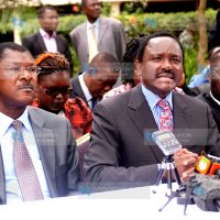 Cord leaders