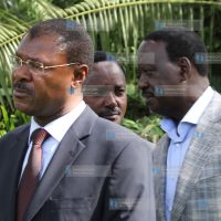 Coalition senators and MPs