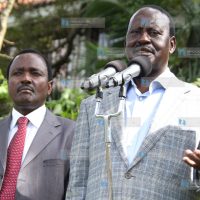 Coalition Senators and MPs