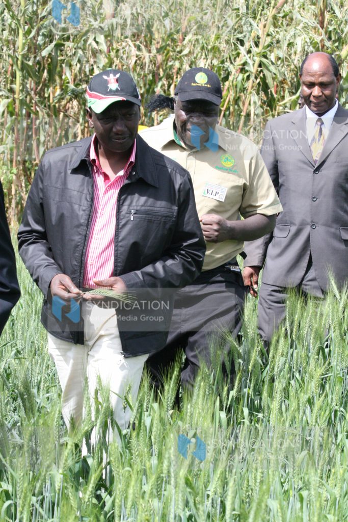 Higher Education Minister William Ruto