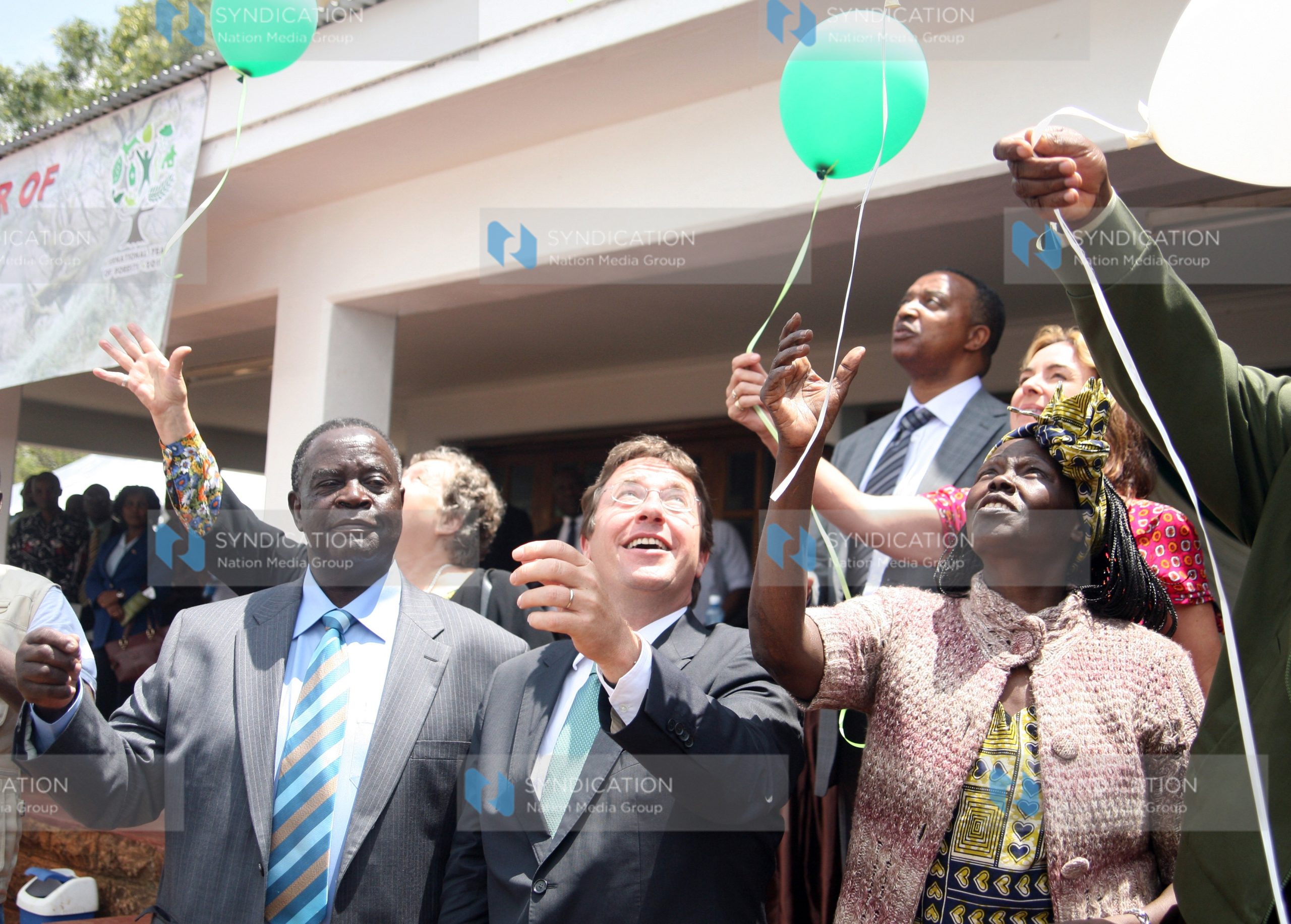International forestry day at the Karura forest