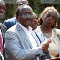 Wiper leader Kalonzo Musyoka and other legislators