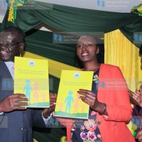 Meru County sexual and gender-based violence policy