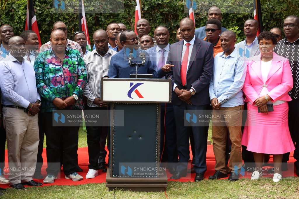 Wiper Leder Kalonzo Musyoka addressing journalists