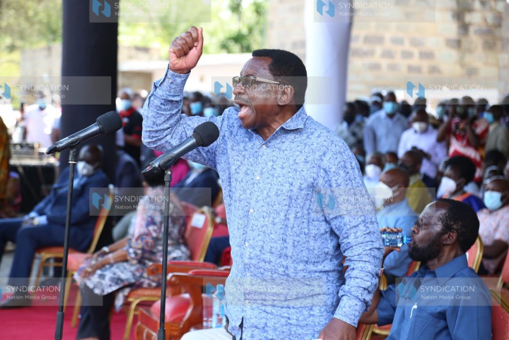 Senate Minority Leader James Orengo addresses a public rally