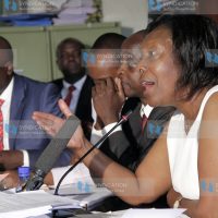 Committee of lands and natural resources