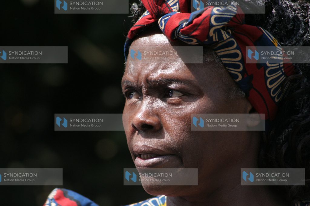 Nobel peace prize laureate and founder of the Greenbelt Movement