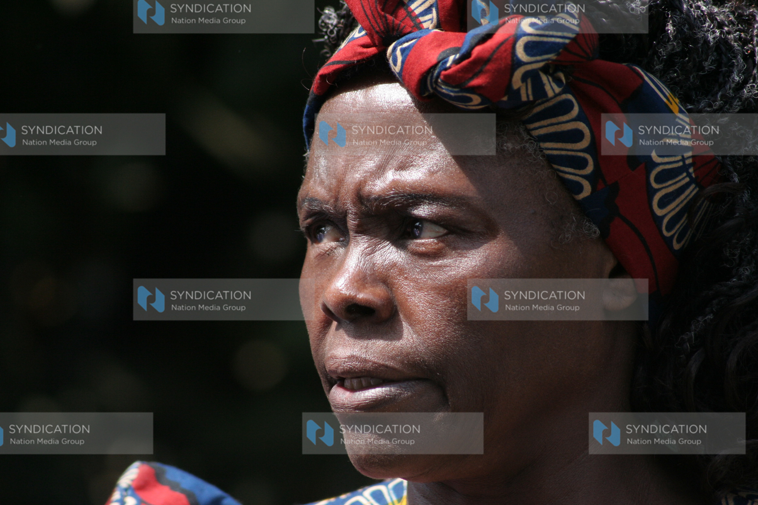 Nobel peace prize laureate and founder of the Greenbelt Movement