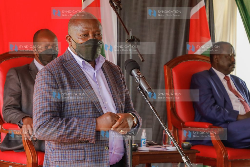 Nominated MP Maina Kamanda