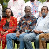 Eugene Wamalwa, Martha Karua, Raila Odinga and Kalonzo Musyoka