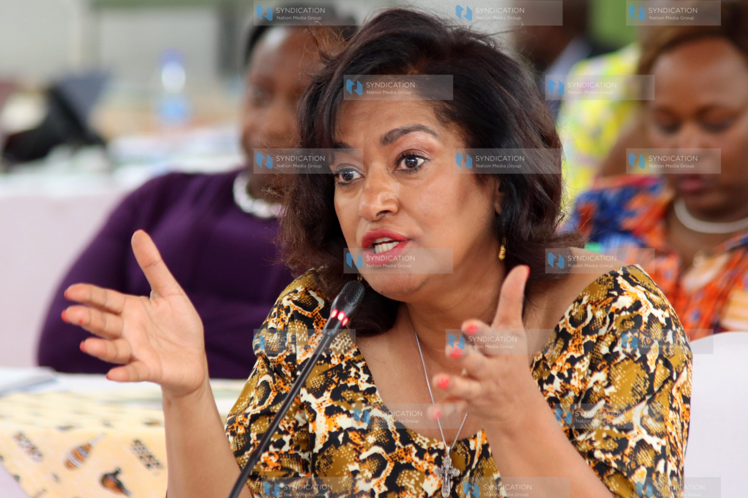 National Dialogue Committee stakeholder engagement meeting