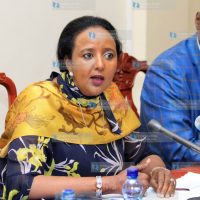 Amina Mohammed when she appeared before National Assembly Education Committee