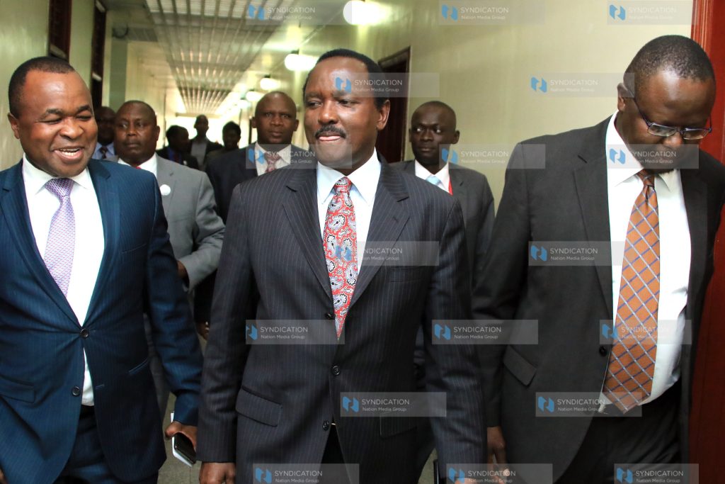 Wiper leader Kalonzo Musyoka