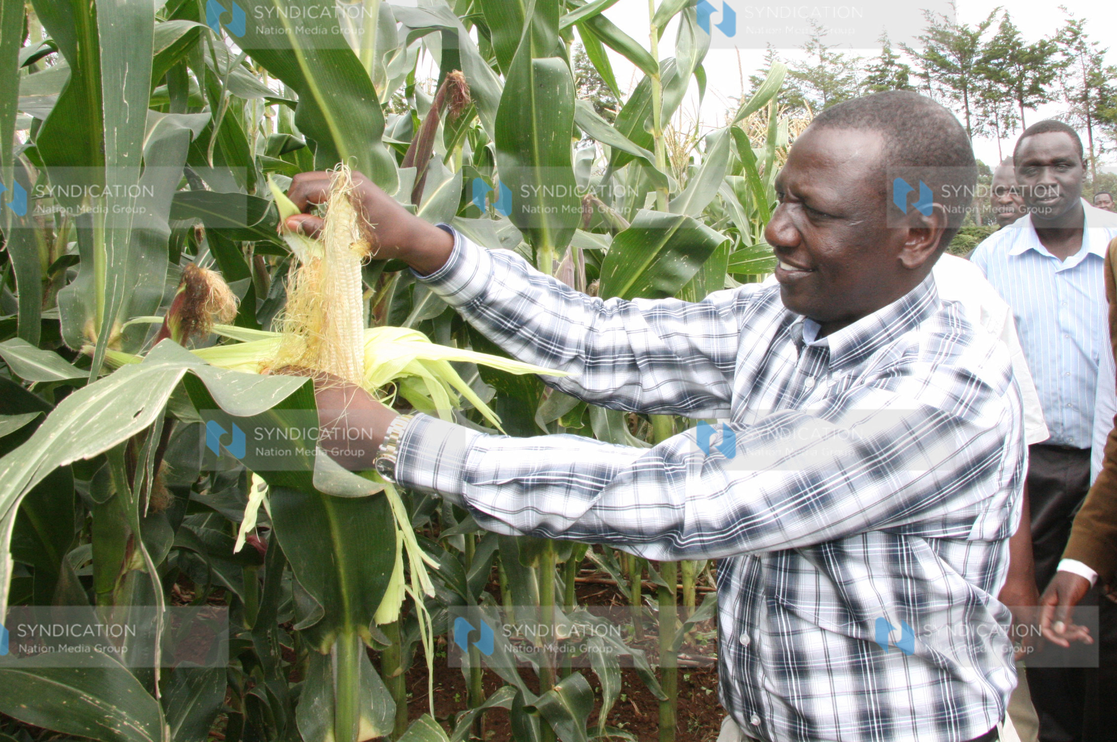 Agriculture Minister William Ruto
