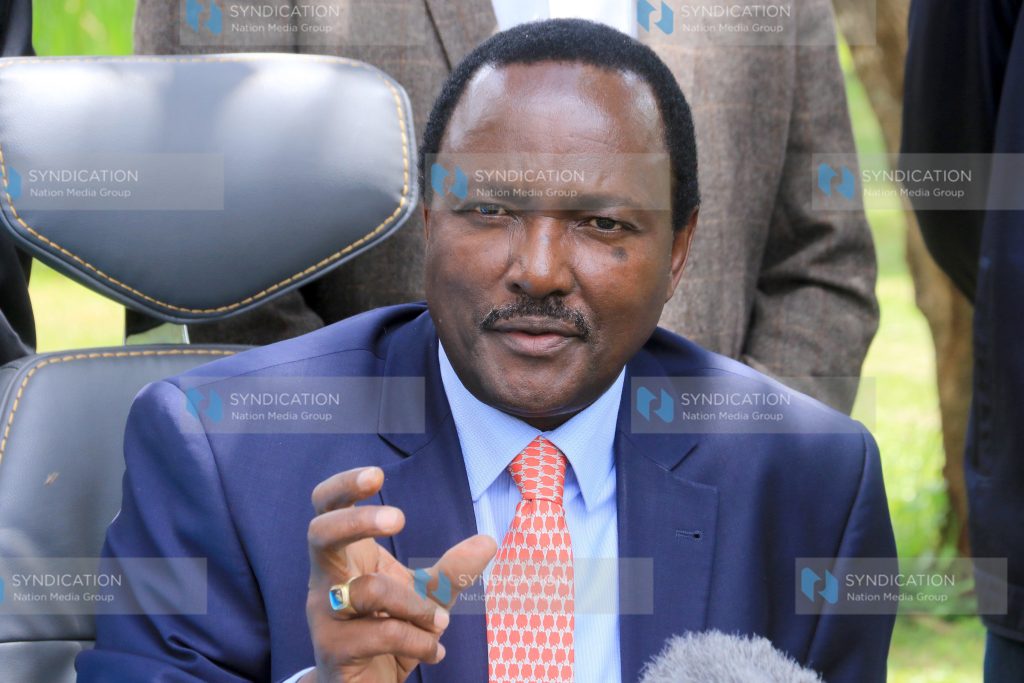 Kalonzo Musyoka during media briefings