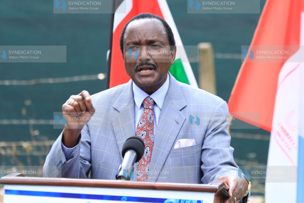 Kalonzo Musyoka address the media