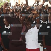 Fins to Swim Scholarship program