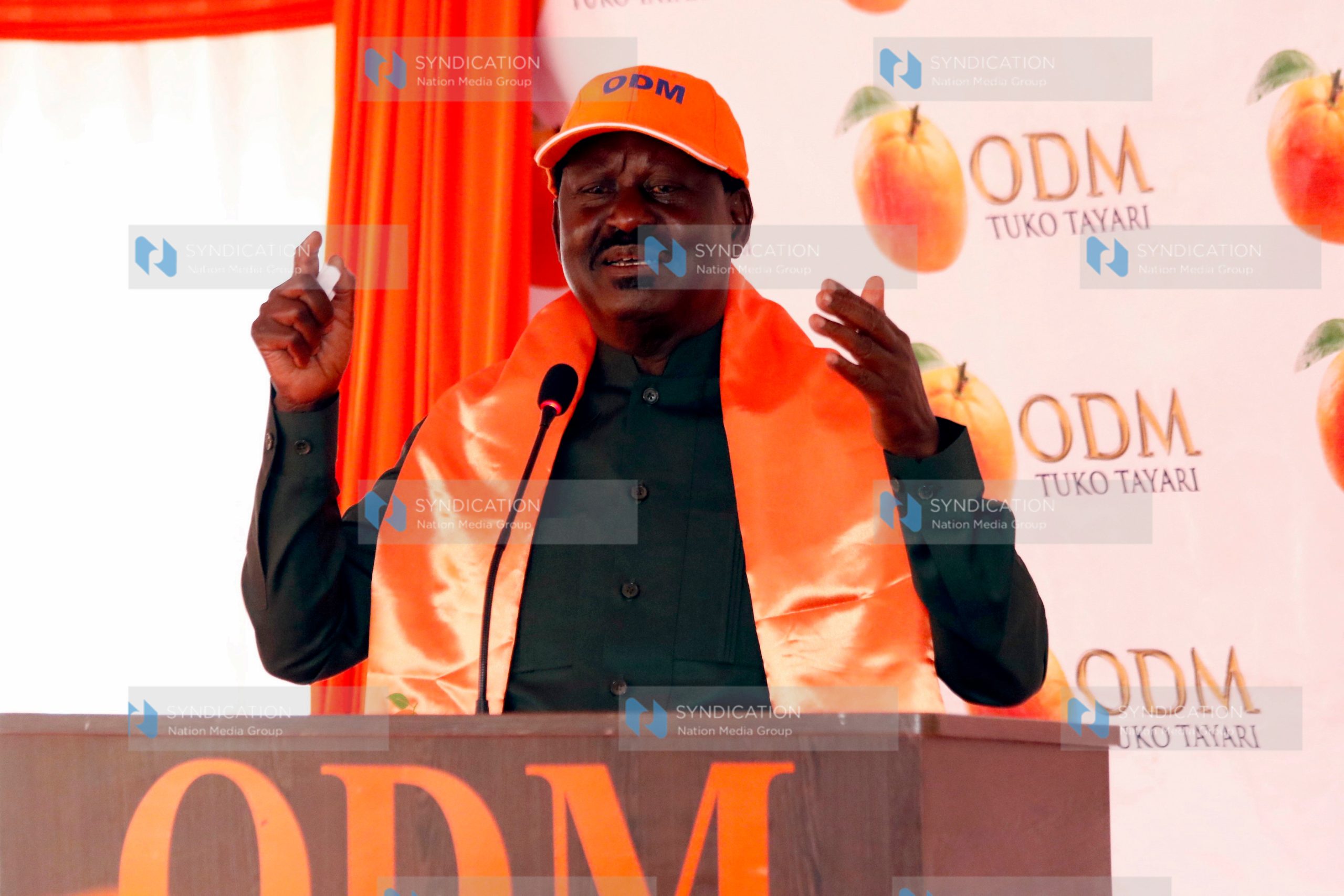 Delegation of political leaders from the Mt Kenya East region