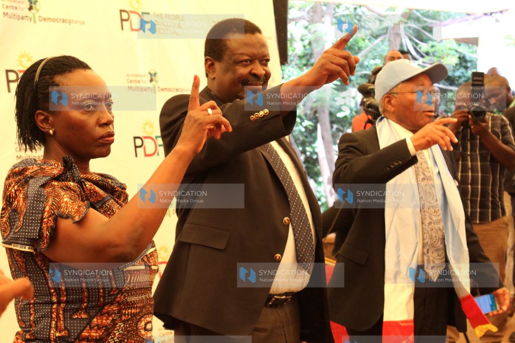 Peoples dialogue festival (PDF)