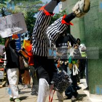 P.A.U. (Pamoja Amani Upendo)