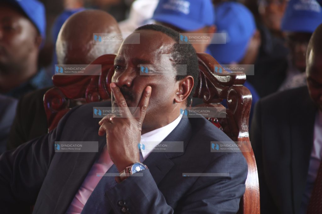 National Delegates Convention at Uhuru Park in Nairobi