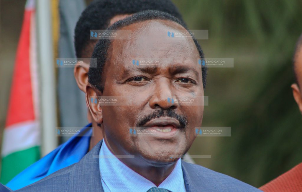 Wiper Party leader Kalonzo Musyoka addressing journalists