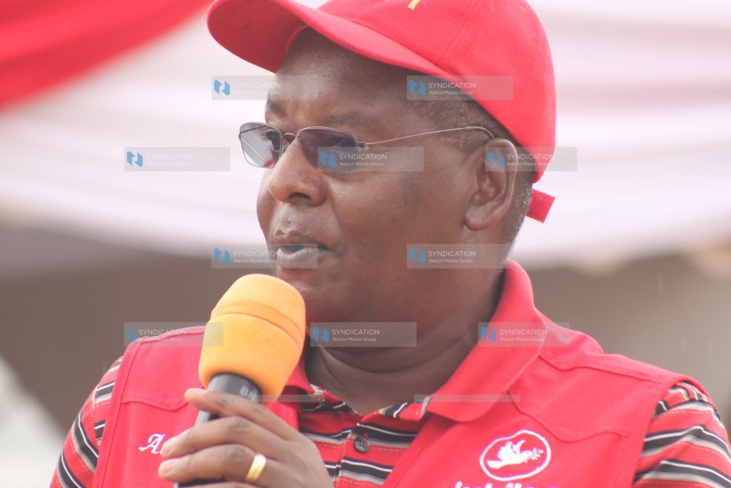 Jubilee party rebranding event at Miharati Stadium, Kipipiri constituency