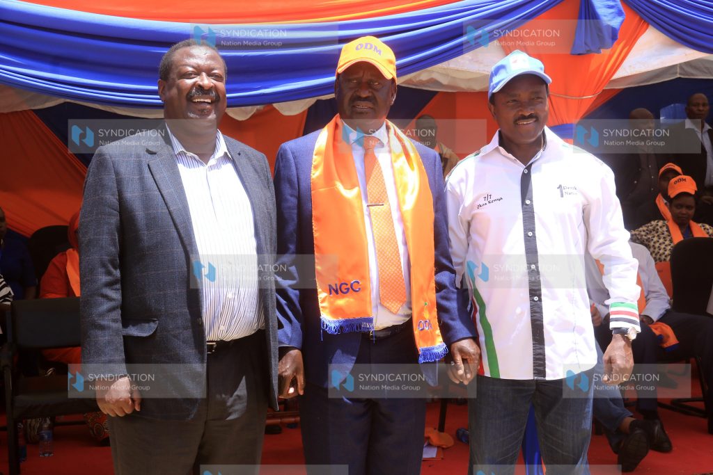 ODM National Governing Council meeting
