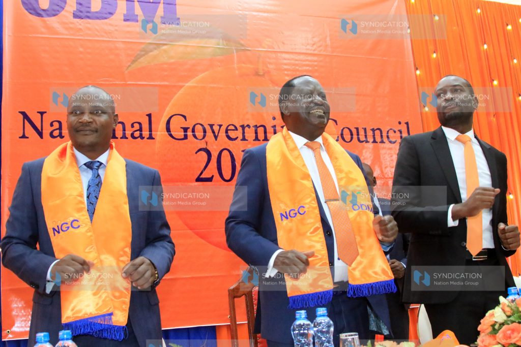 ODM National Governing Council meeting