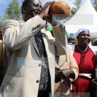 CORD leader Raila Odinga sips mursik from a gourd