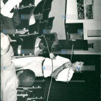 E.A. Power and Lighting Co. Ltd