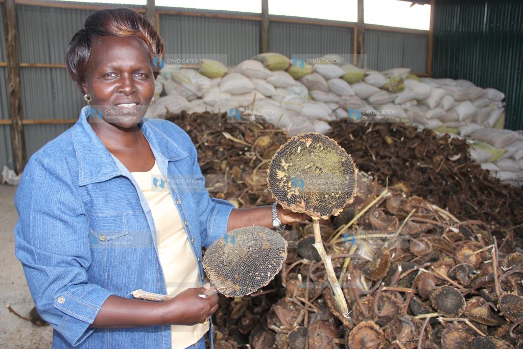 Prof. Margaret Kamar, former Higher Education Minister, displays a sunflower harvest