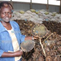 Prof. Margaret Kamar, former Higher Education Minister, displays a sunflower harvest