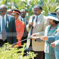 Kenya Seed exhibition stand