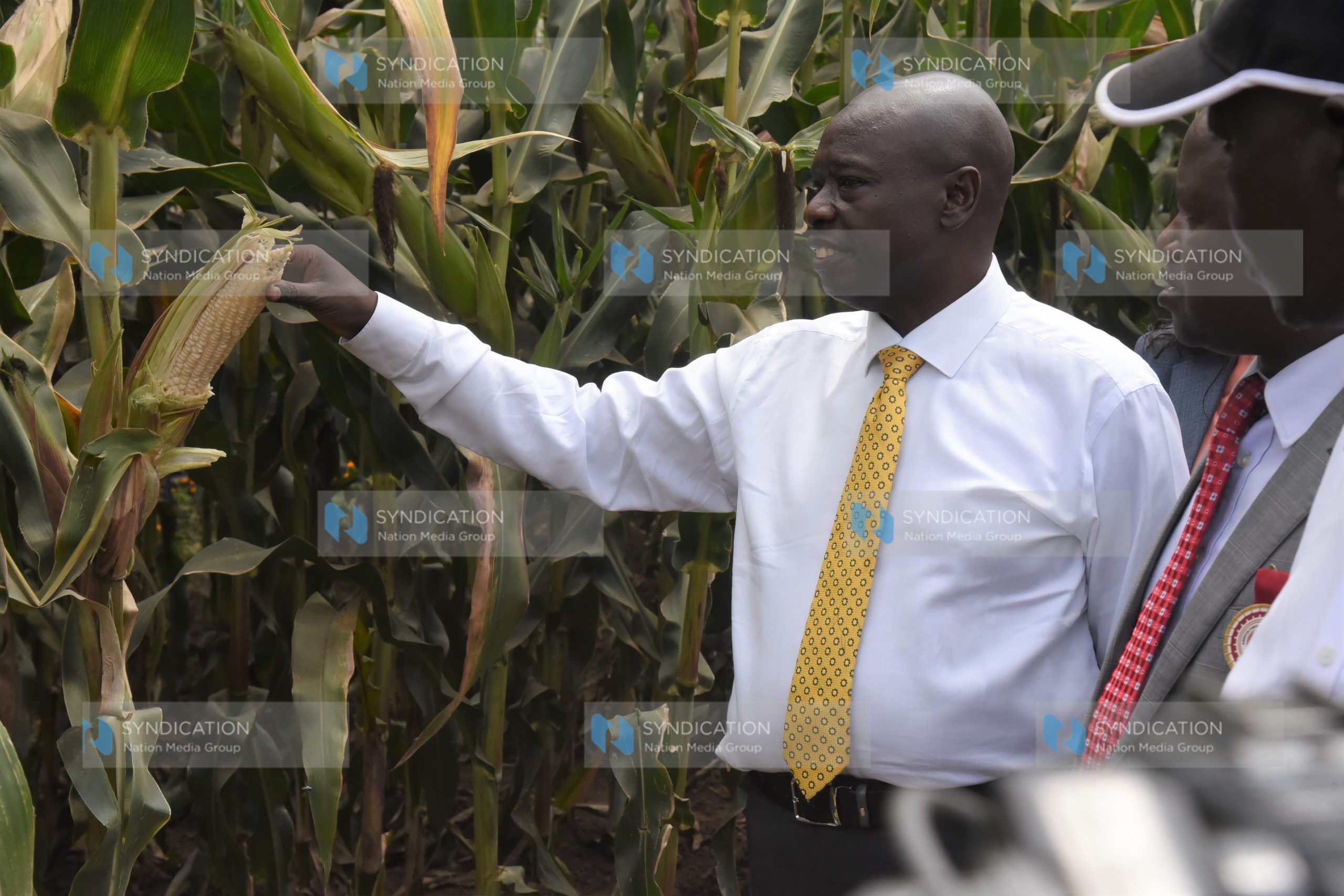 Deputy President Rigathi Gachagua