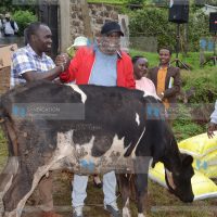 Ahadi Kenya Trust CEO Stanley Kamau presents a dairy cow to Geoffrey Gakiria
