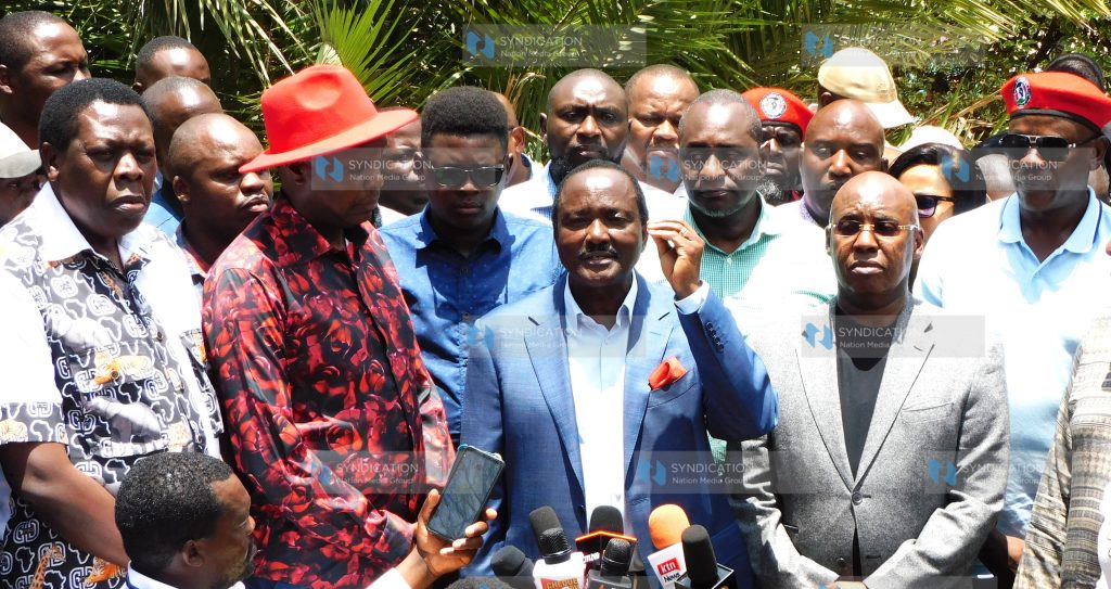 Opposition leaders led by wiper leader Kalonzo Musyoka