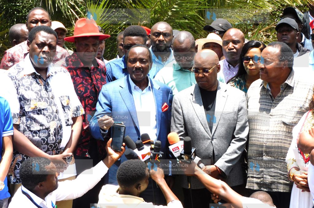 Opposition leaders led by wiper leader Kalonzo Musyoka