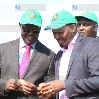 Launch of new potato varieties