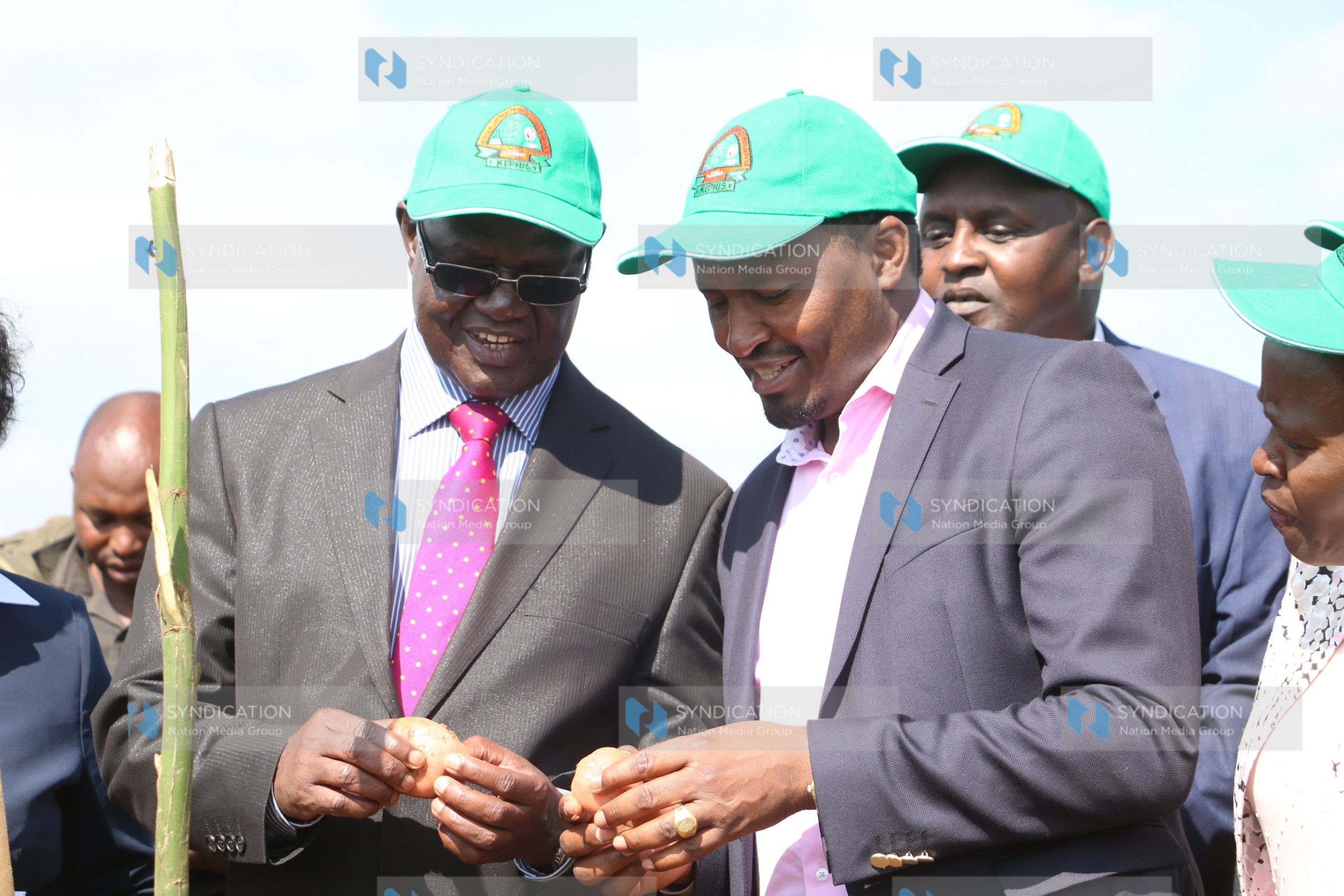 Launch of new potato varieties