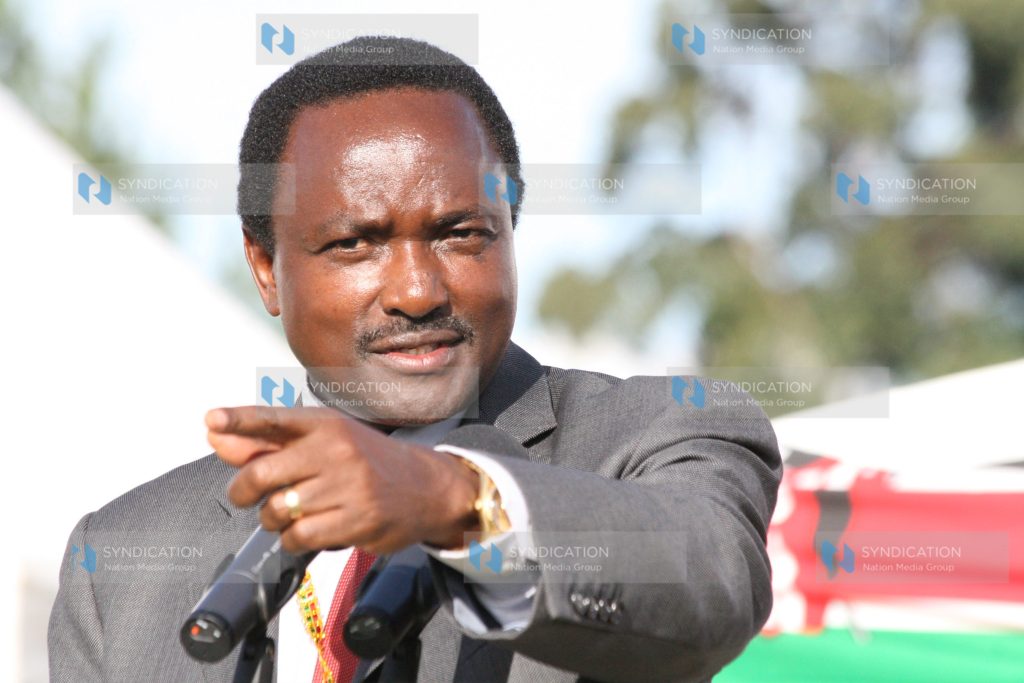 Vice President Kalonzo Musyoka