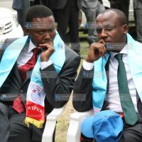 Wiper Democratic Party members