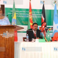 High-Level Pre-Ministerial and Ministerial Meetings