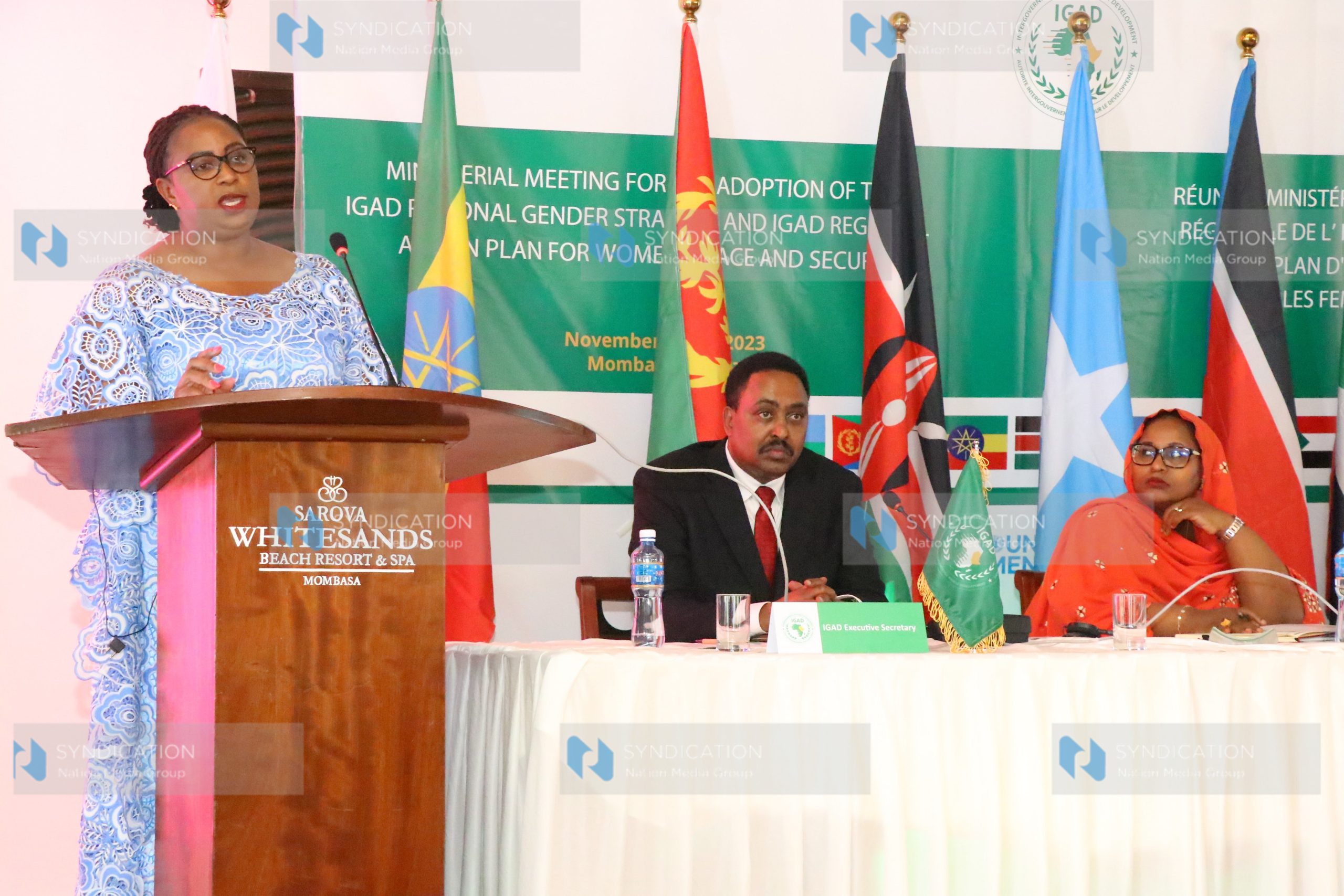 High-Level Pre-Ministerial and Ministerial Meetings